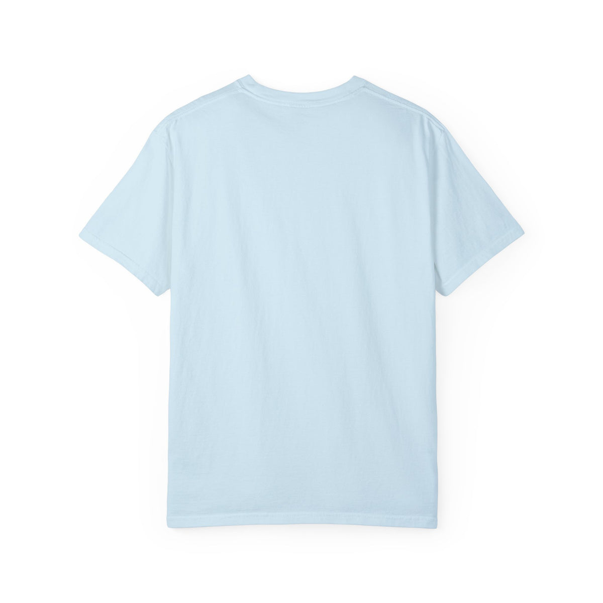 The Original | Unisex Garment-Dyed T-shirt (USA/CAN ONLY)