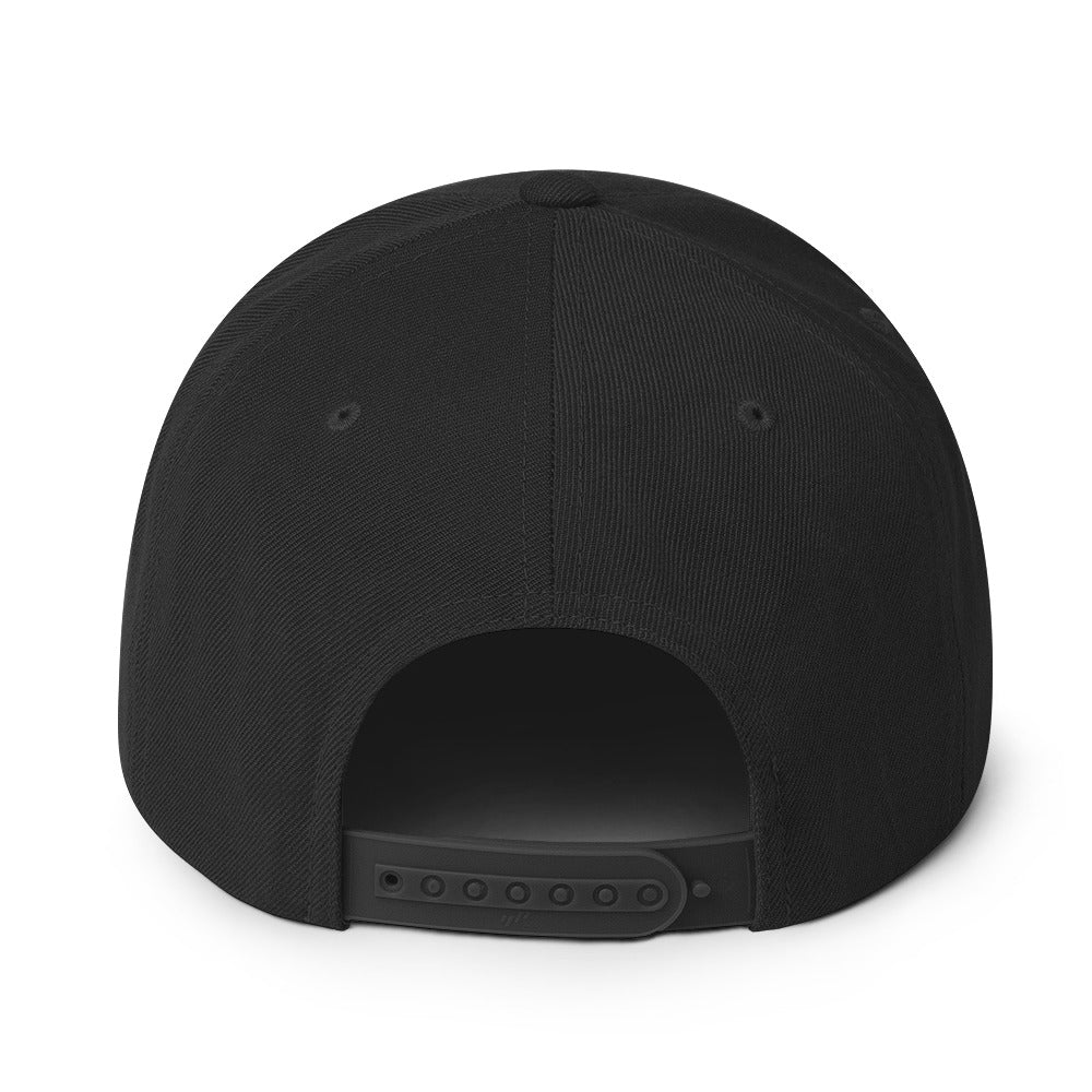 Not Guilty | Snapback Hat (USA/CAN ONLY)